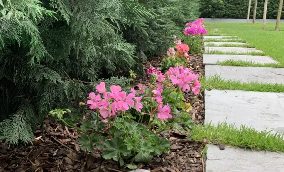 Gartenbeleuchtung, Landschaftsbeleuchtung, Gemütliche Atmosphäre, Energieeffiziente Gartenbeleuchtung, Architektonische Beleuchtung, Pflanzenbeleuchtung, Gartenwegbeleuchtung, Automatisierung der Gartenbeleuchtung